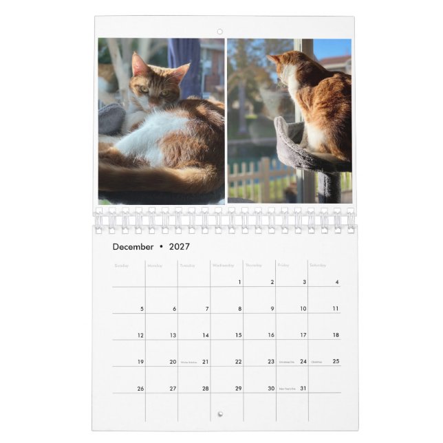 Kattunge Kalender (Dec 2027)