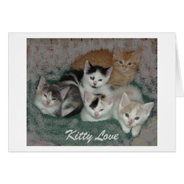 Kattunge Kärlek Hälsningskort (Framsidan Horizontal)