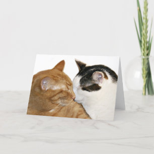 kattunge kärlek-kort kort