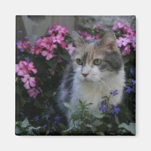 Kattunge Kärlek Magnet (Framsidan)