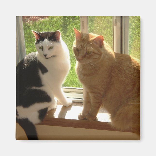 Kattunge Kärlek Magnet (Framsidan)