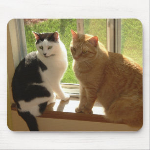 Kattunge Kärlek Musmatta