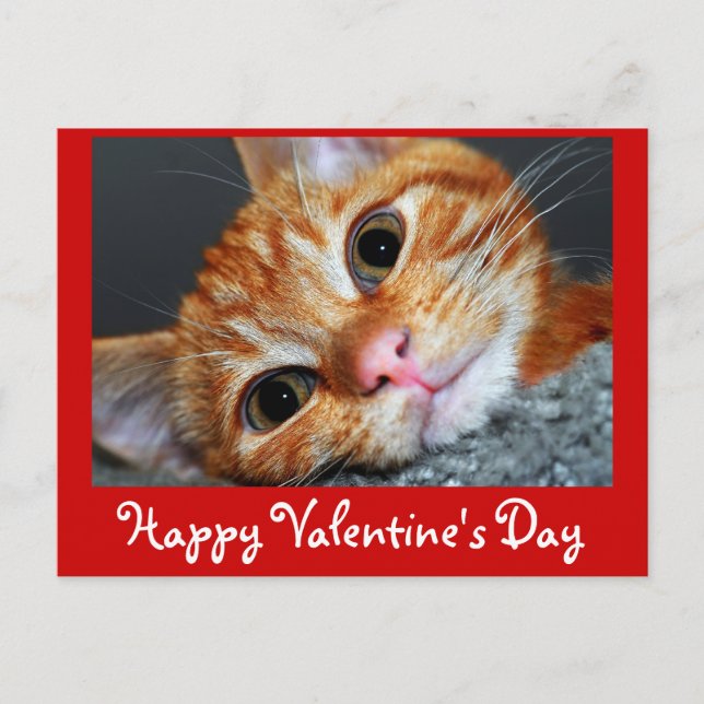 Kattunge Kat Helg Vykort (Framsida)