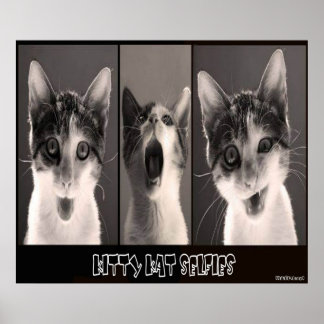 Kattunge Kat Seleves Poster