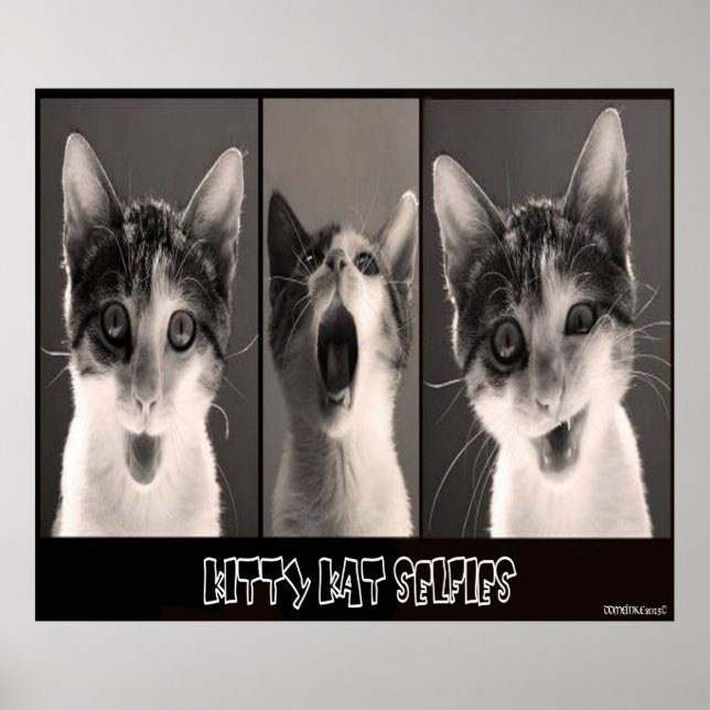 Kattunge Kat Seleves Poster (Framsidan)