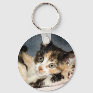 Kattunge Keychain för skydd för amerikanShorthai Nyckelring