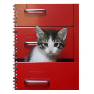Kattunge kikande anteckningsbok