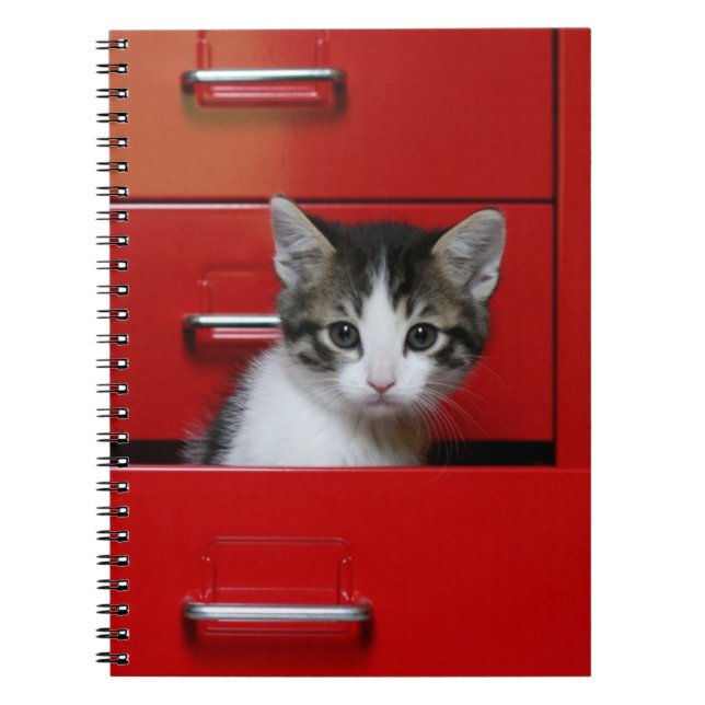 Kattunge kikande anteckningsbok (Framsidan)