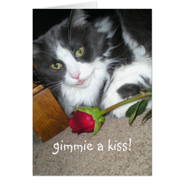 Kattunge Kisses Romantic Card Hälsningskort (Framsidan)