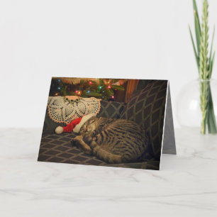 Kattunge Kitten Helgdag Card för sömnen i Santa Da Helgkort