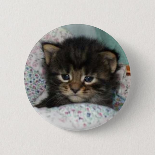 Kattunge Knapp (Framsida)