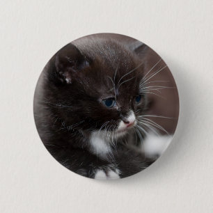 Kattunge Knapp