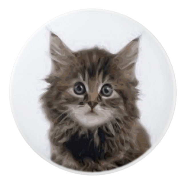KATTUNGE KNOPP (Framsidan)
