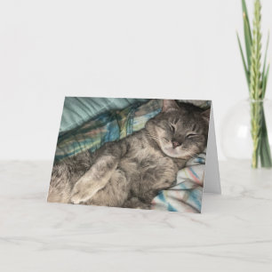Kattunge Kort