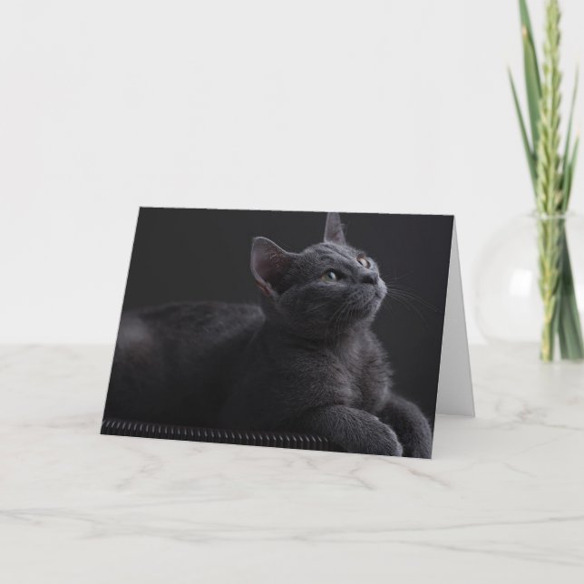 Kattunge Kort (Framsida)