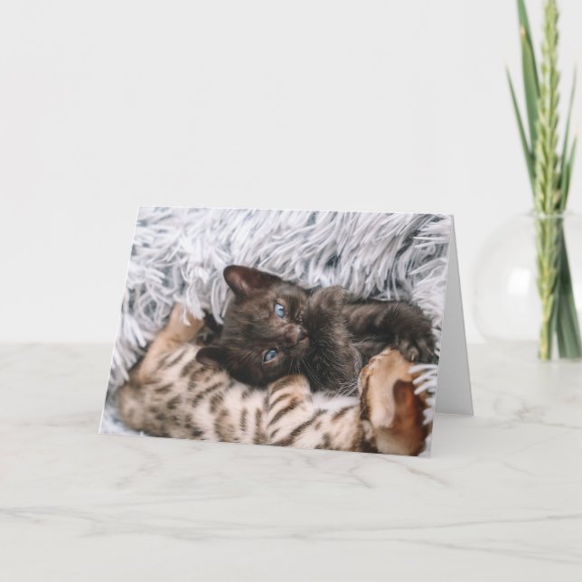 Kattunge Kort (Framsida)