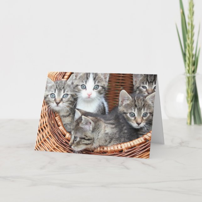 Kattunge Kort (Framsida)