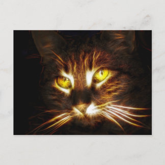 Kattunge-kort Vykort