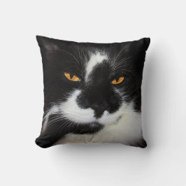 Kattunge Kudde