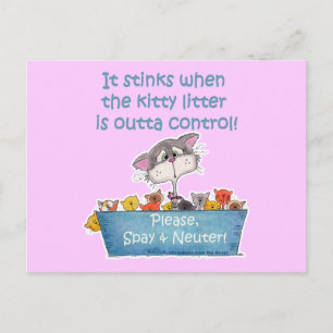 Kattunge Litter Stinks Vykort