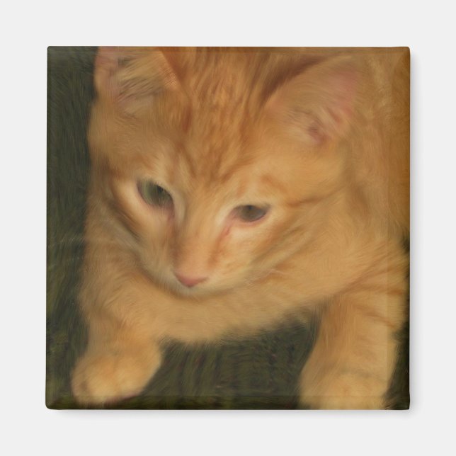 Kattunge Magnet (Framsidan)