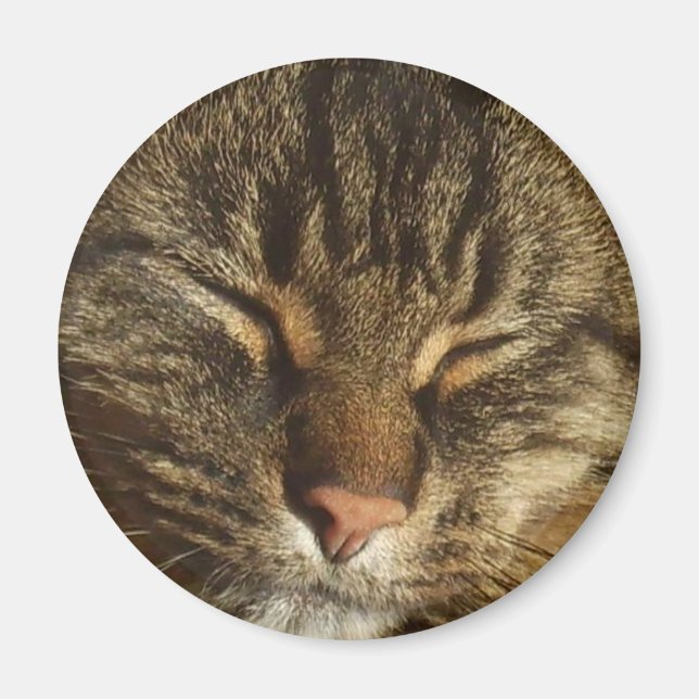 Kattunge Magnet (Framsidan)