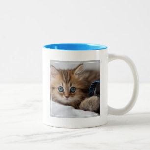 Kattunge med blåttögon Två-Tonad mugg