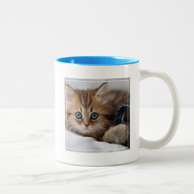 Kattunge med blåttögon Två-Tonad mugg (Höger)