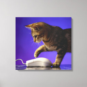 Kattunge med datormusen canvastryck