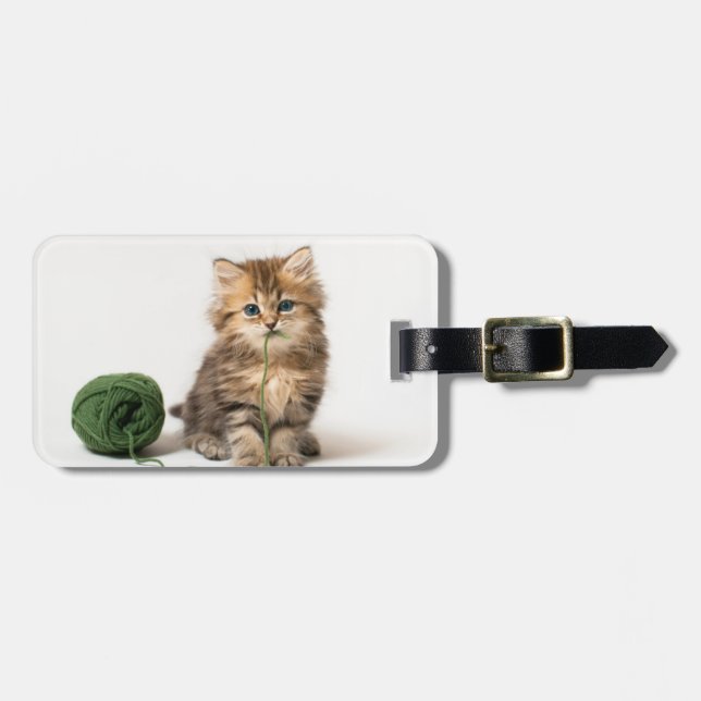 Kattunge med grönt garn bagagebricka (Horisontell Framsida)