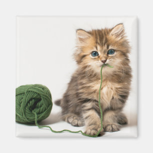 Kattunge med grönt garn magnet
