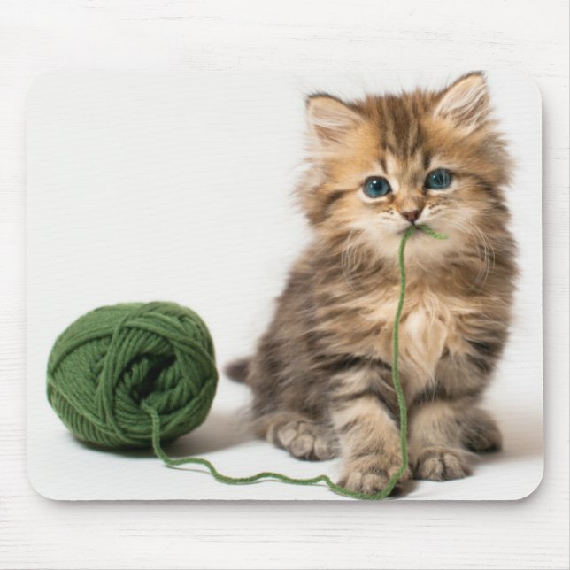 Kattunge med grönt garn musmatta (Framsidan)