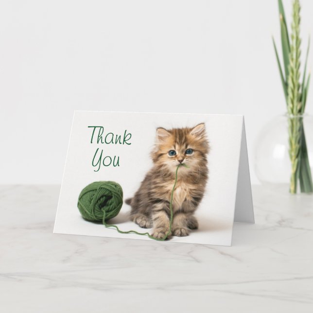 Kattunge med grönt garn tack kort (Framsida)