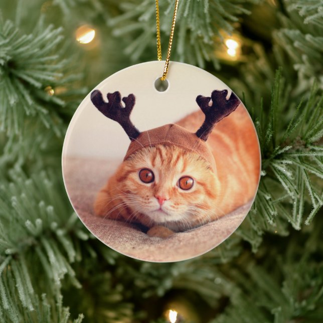 Kattunge med julklapp julgransprydnad keramik (Träd)