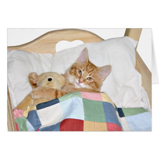 Kattunge med nalle hälsningskort (Framsidan Horizontal)