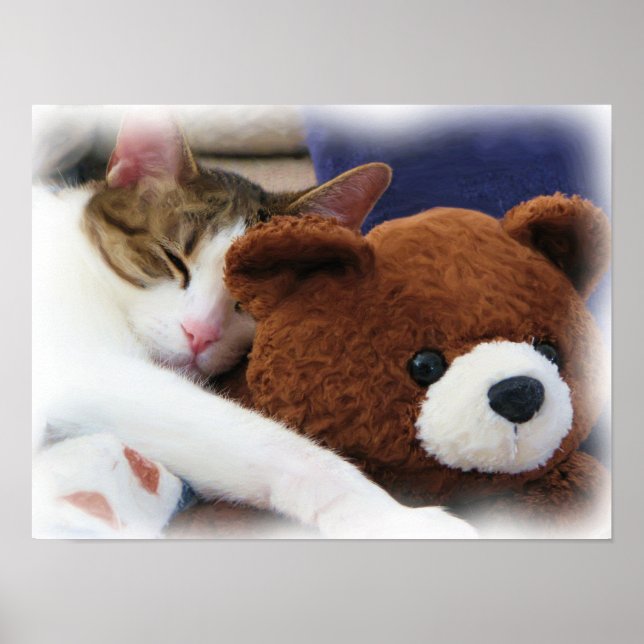 Kattunge med Nalle Skriv ut Poster (Framsidan)