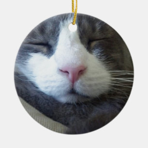 Kattunge med rosa sova för näsa julgransprydnad keramik