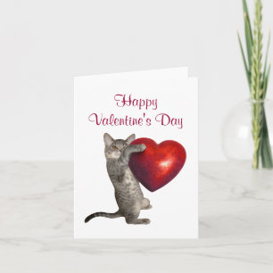 Kattunge med stor röda hjärtavalentin kort