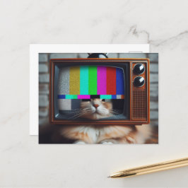 Kattunge med vintage TV Ansikte Vykort