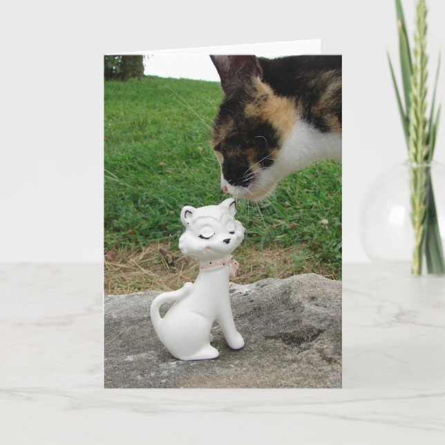 Kattunge, Meet Kattunge Kort (Framsida)