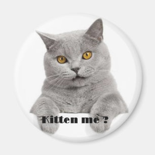 kattunge mig? magnet