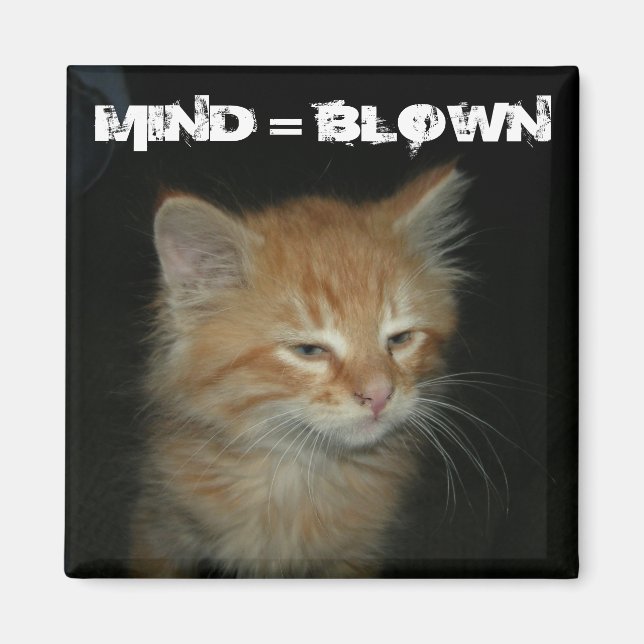 Kattunge "MIND = BLOWN" Magnet (Framsidan)