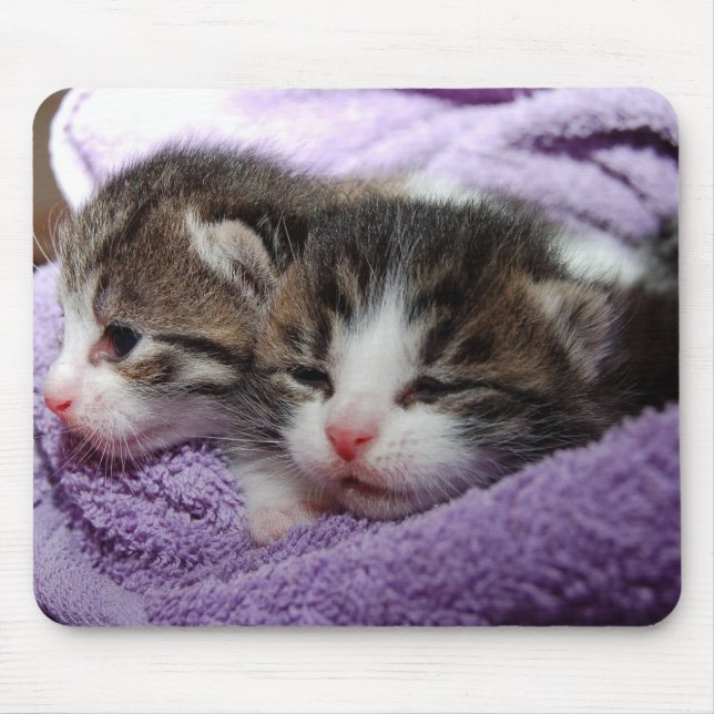 KATTUNGE MUSMATTA (Framsidan)