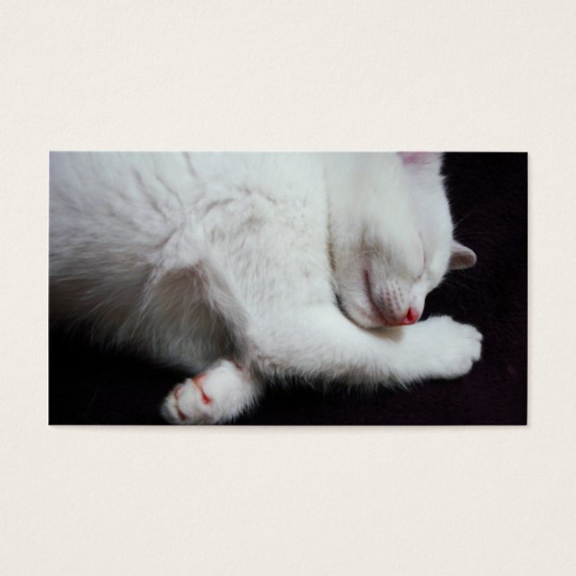 KATTUNGE NAP VISITKORT (Framsidan)