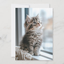 Kattunge nära fönstret Lägenhet Julkort