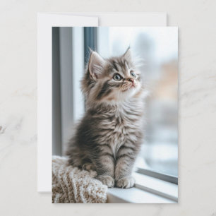 Kattunge nära fönstret Lägenhet Julkort