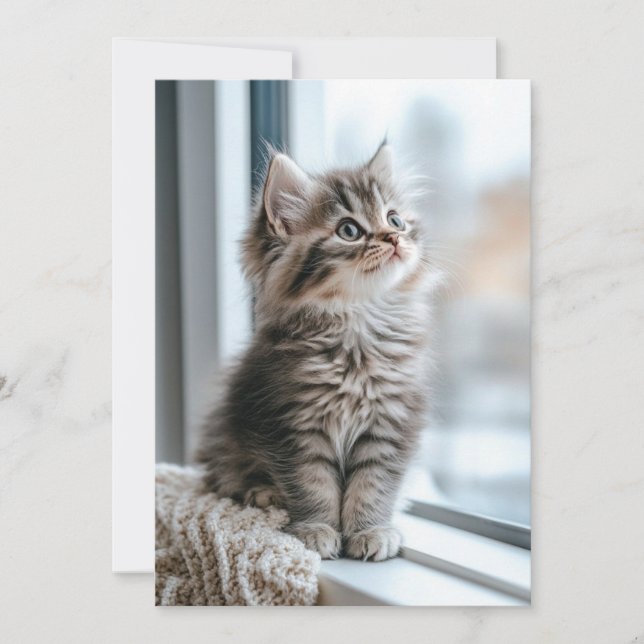 Kattunge nära fönstret Lägenhet Julkort (Framsida)