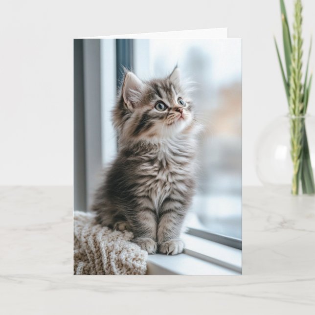 Kattunge nära fönstret Vikt julkort Helgkort (Framsida)