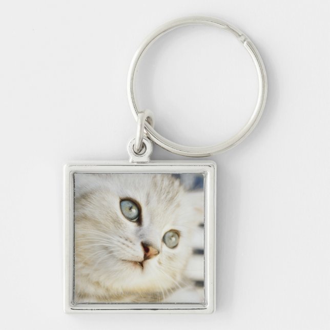 Kattunge närbild 2 fyrkantig silverfärgad nyckelring (Framsidan)