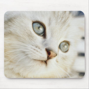 Kattunge närbild 2 musmatta